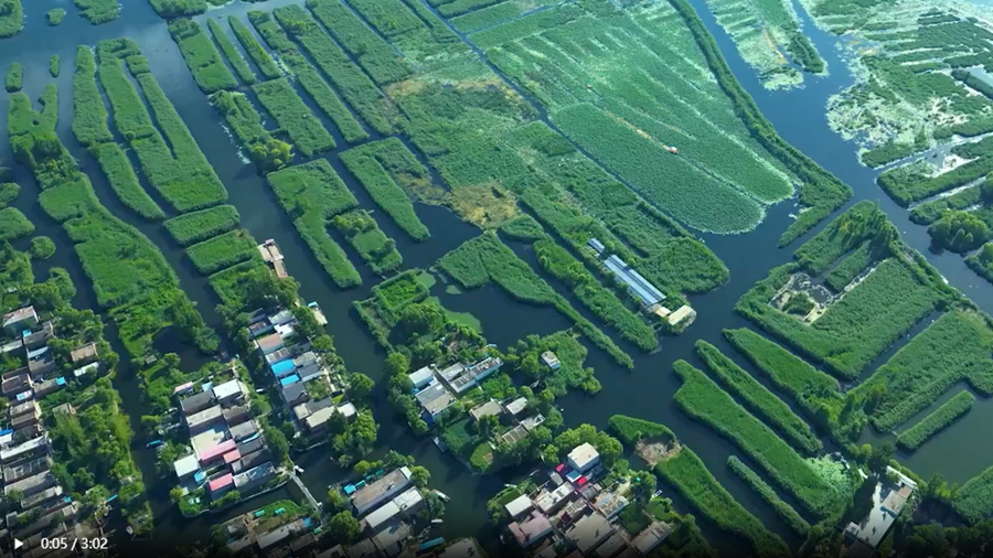 &ldquo;華北之腎&rdquo;修復記